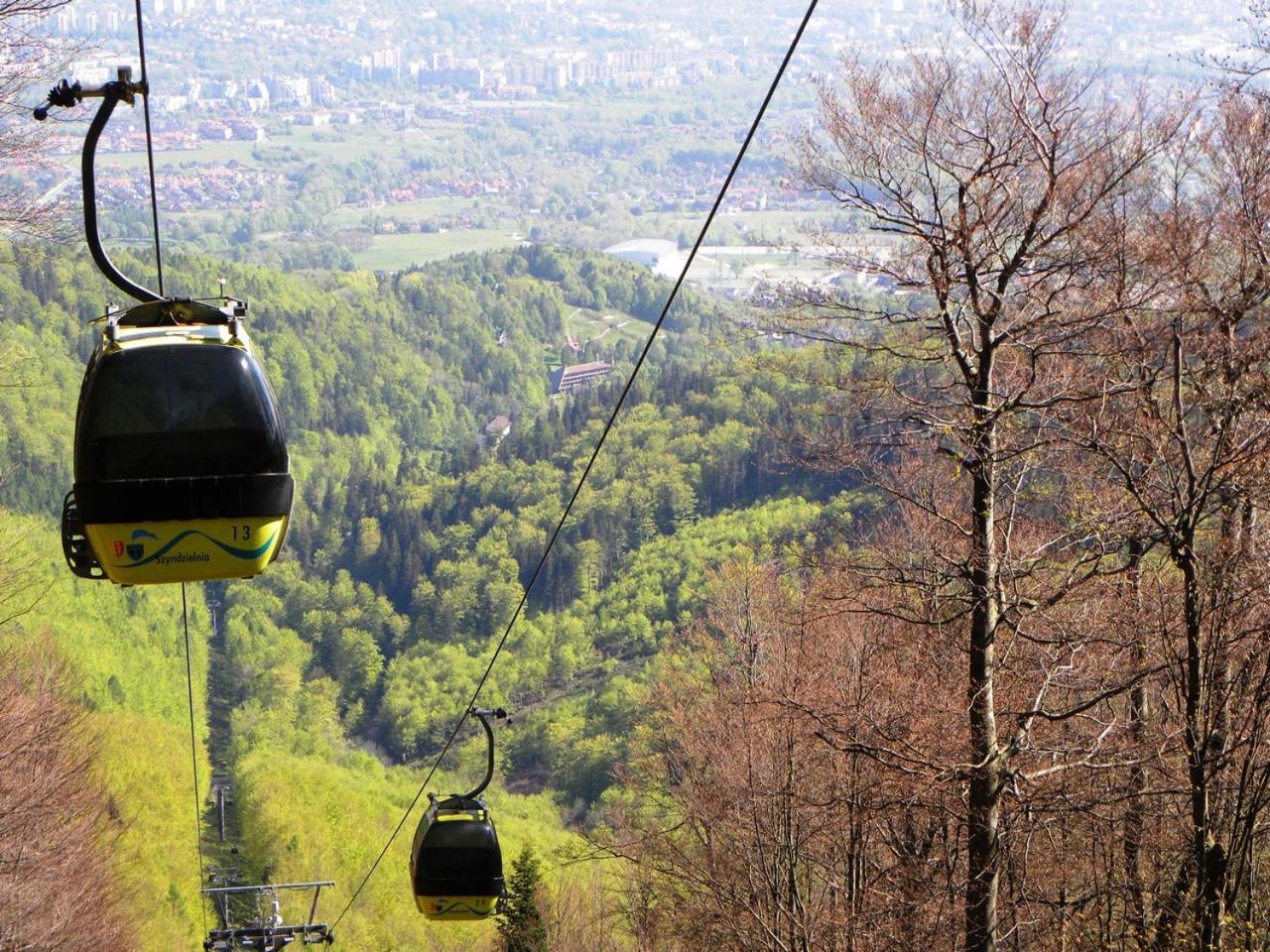 Apartment Pod Debami Bielsko-Biala